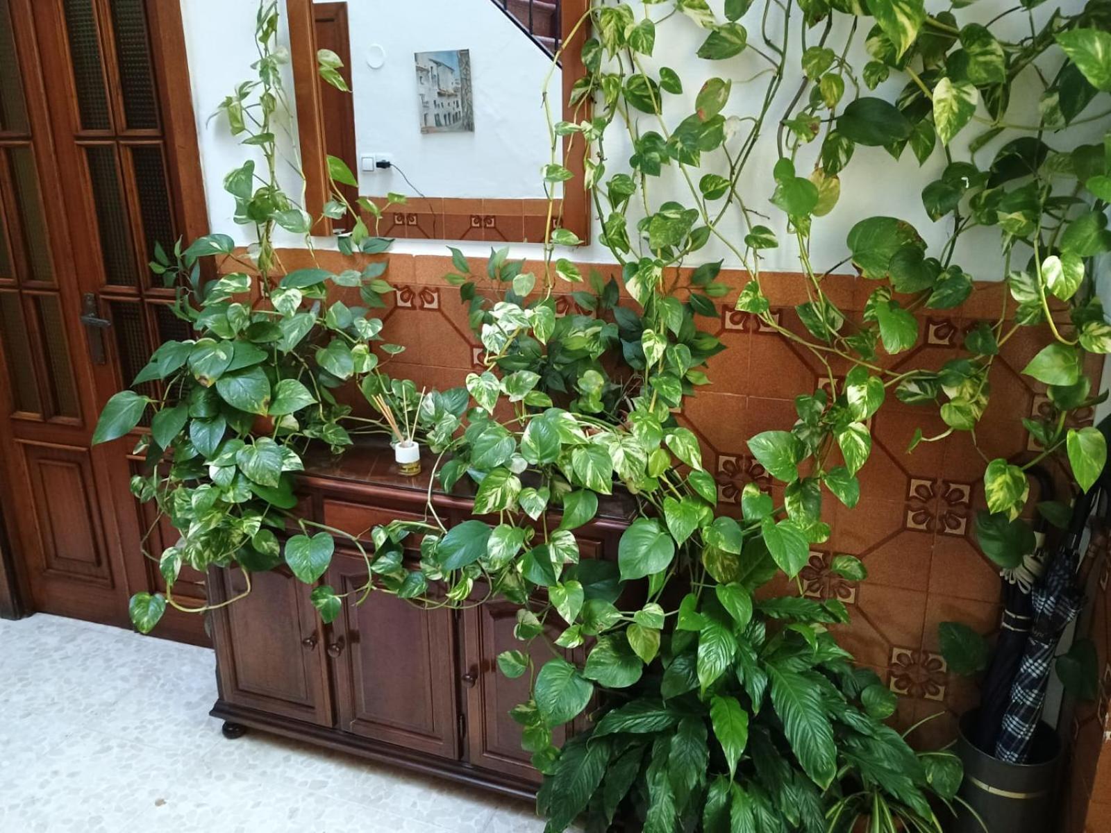 Casa Matbel Apartment Cordoba Luaran gambar